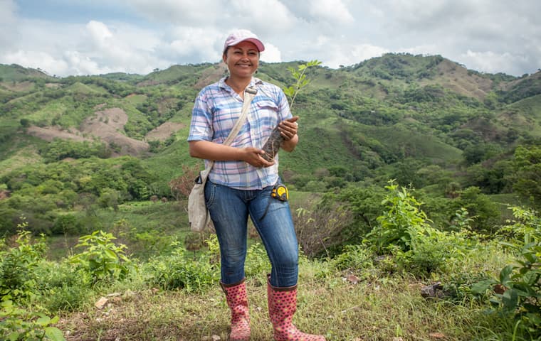 Taking root nicaragua 2013 planting technician berta with treeling