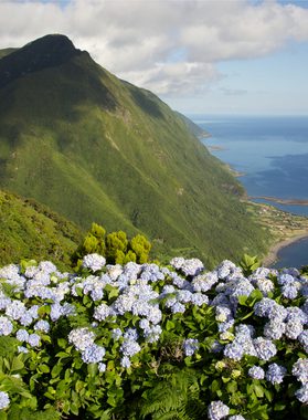 Visit azores Faja Caldeira Santo Cristo