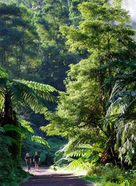Visit azores Hiking Sao Miguel Island