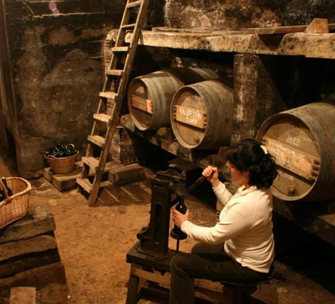la rioja winery visit bottling room