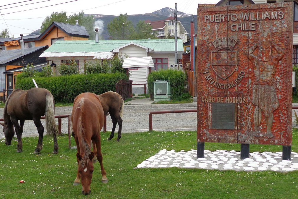 Chile patagonia puerto williams c michael edey