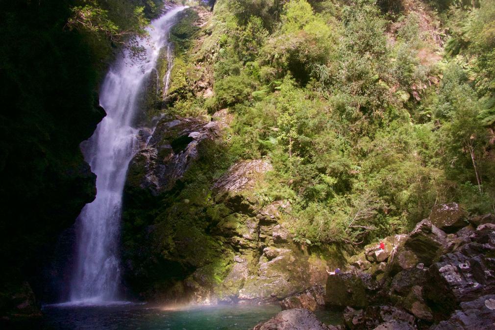 Chile patagonia carretera austral pumalin park cascada trail