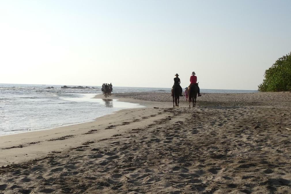 Costa rica nicoya peninsula horses riding on san juanillo beach copyright alison thomas20180829 76980 1qzfln7