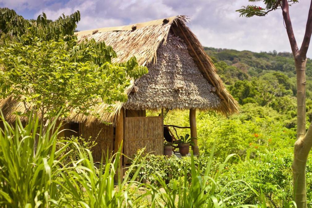 Nicaragua ometepe totoco ecolodge copyright alicia fox photography cabin grasses20180829 76980 b6cdop