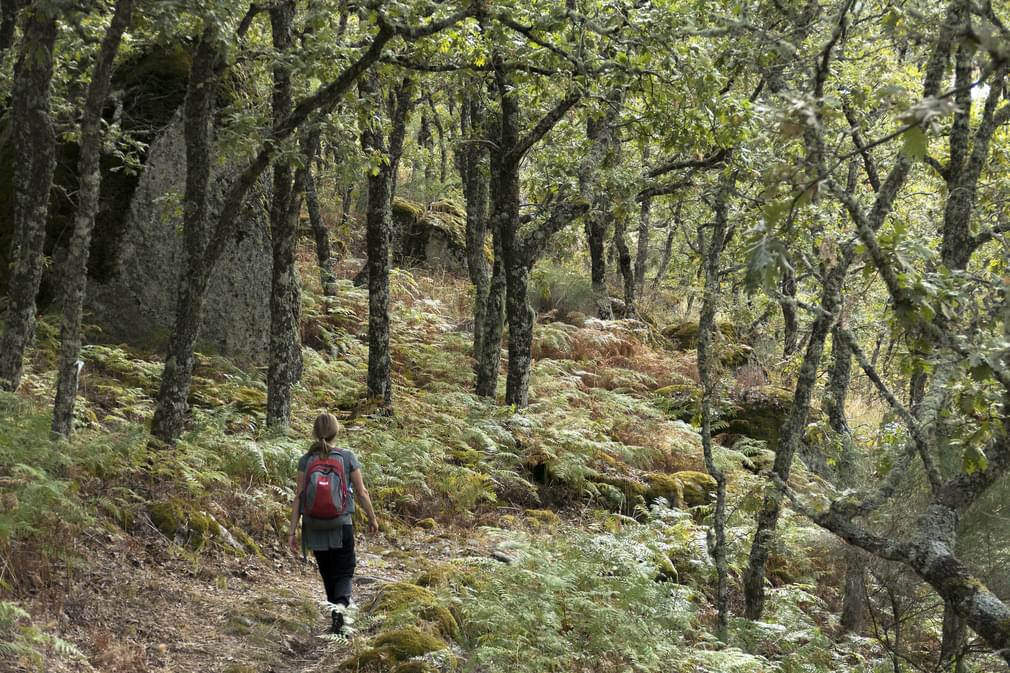 Portugal alentejo castelodavide marvao hike oaks