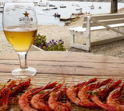 Spain catalonia beer and shrimps cadaquez c diego pura